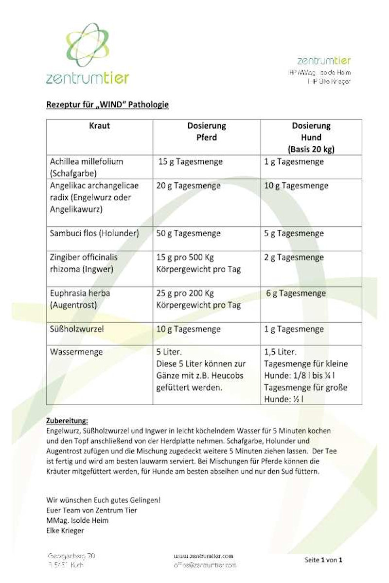 Rezept Wind Kälte Pathologie