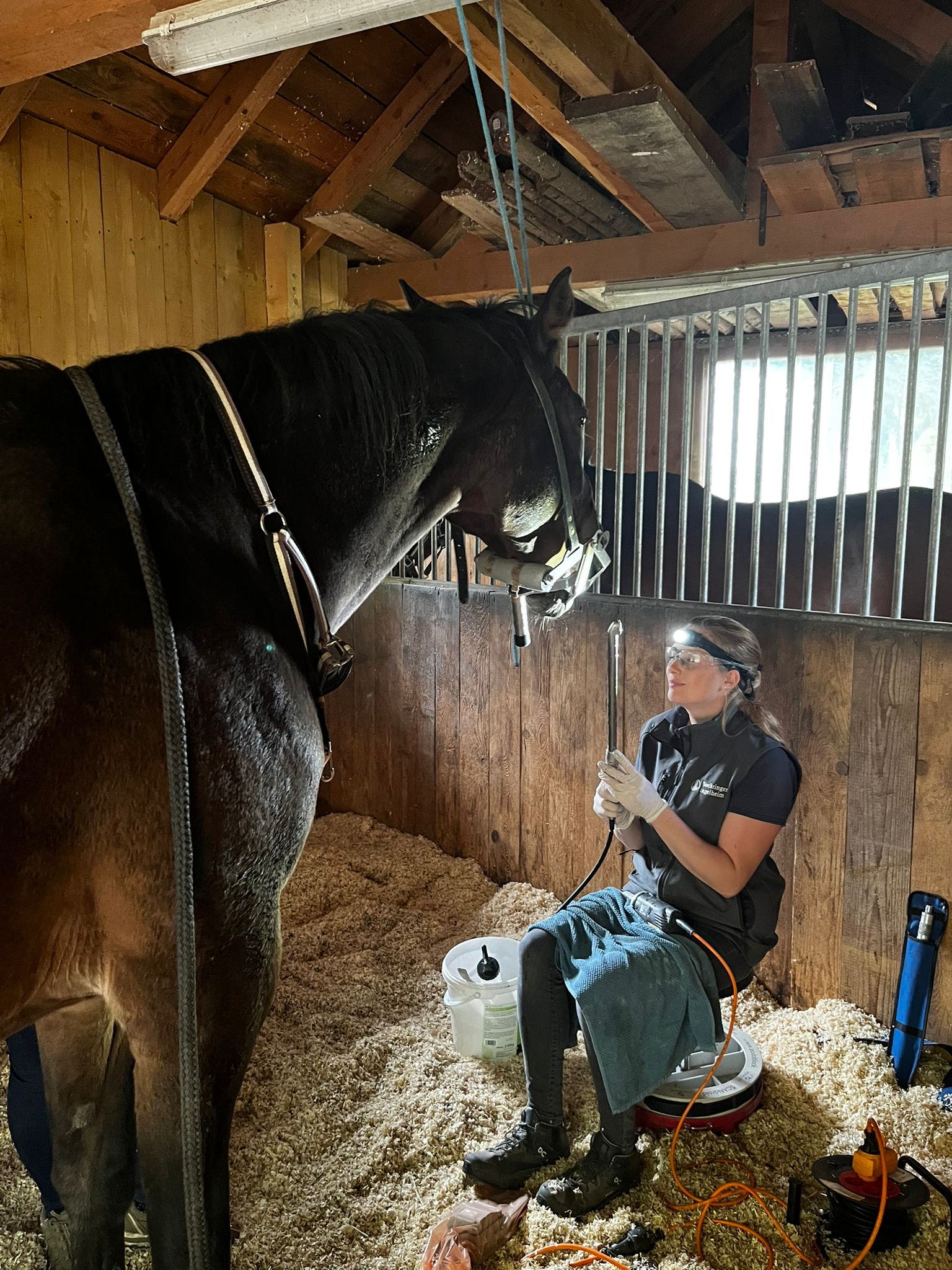 Letzter Gärete Chek