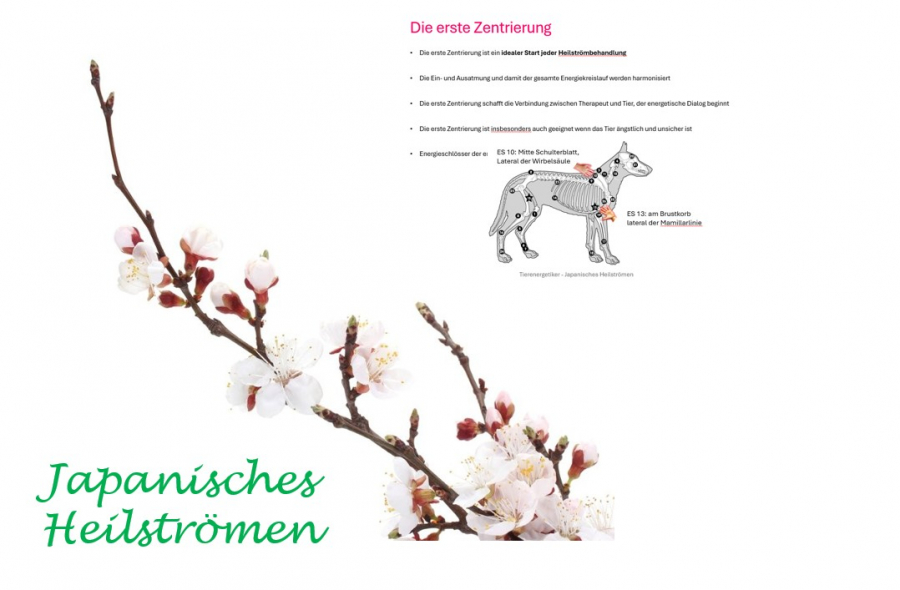 Japanisches_Heilstrmen