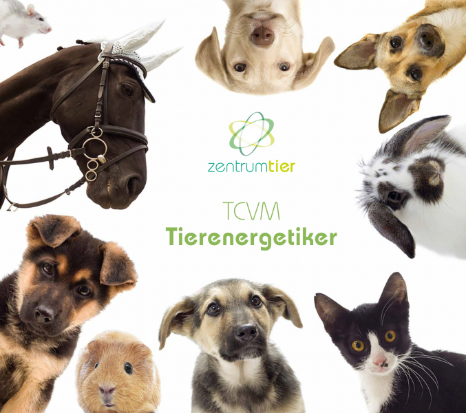 zt_tierbild_tierenergetiker