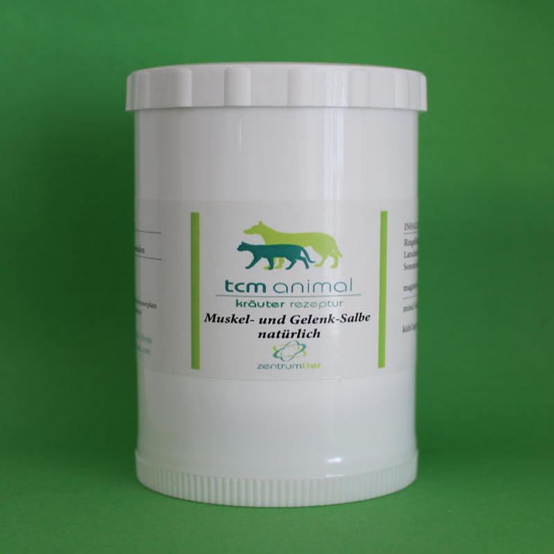 Loges Salbe für Muskel- und Gelenksschmerzen 