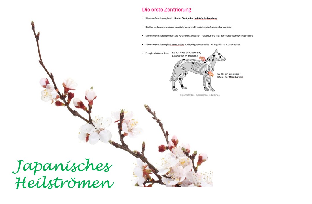 Japanisches Heilströmen